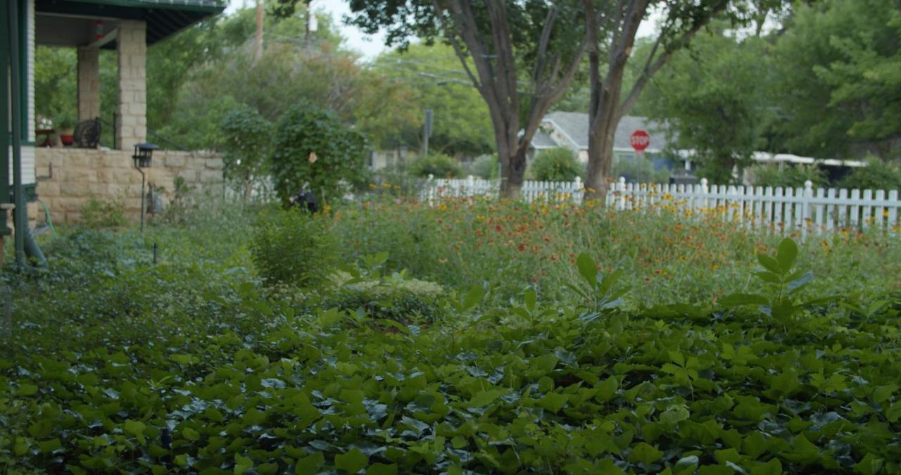 Granbury Gardens Bed And Breakfast Eksteriør bilde