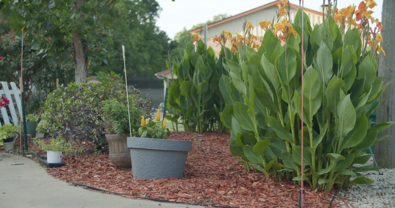 Granbury Gardens Bed And Breakfast Eksteriør bilde